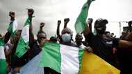 PIND celebrates 10 years of peace-building, capacity development in Niger Delta