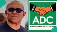 Step by step guide on how to deregister your membership from ADC after Peter Obi’s defection to NDC