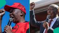 South African politician Julius Malema sentenced to five years in prison, reason emerges