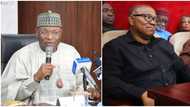 “It Has Become a Habit”: INEC issues strong warning to Peter Obi