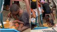 "He wants his siblings to eat": Little boy packs his food inside a nylon during event, video melts hearts