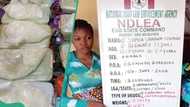 NDLEA arrests 2 ladies for using snake-guarded shrine to stored drugs in Edo