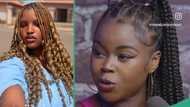 Saida Boj: Nigerian lady gets dumped by her boyfriend for defending controversial 'N20m' influencer