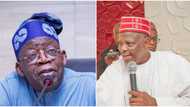 Heartbreaking news for Kwankwaso as NNPP candidates collapse party structure for Tinubu, APC in top southwest state