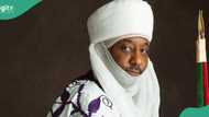 Sarautar Kano: Abin da Sarki Sanusi II ya gargadi hakimai da ciyamomi 44 a kai a fadarsa