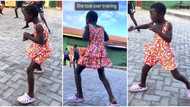 "Future champion": Little girl in short gown practices boxing in midst of boys, video of her skills goes viral