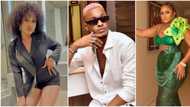 "Only for me to see her and Groovy kissing": Amaka reveals she thought Phyna had her back in the house