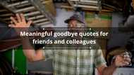 75+ meaningful goodbye quotes for friends and colleagues