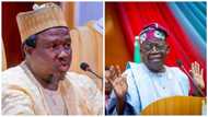 2023: My original certificate missing, Masari, Tinubu’s running mate tells INEC