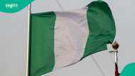 Full list: Nigerian Pidgin Tops list as African most spoken language, 14th in the world