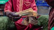 Naira crashes against US dollar, CBN releases new exchange rates