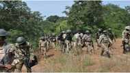 Huge victory as Nigerian soldiers kill 4 terrorists in top northern state