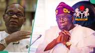 Drama as APC chieftain cries out to Tinubu over electricity tariff hike: “I spent N20,000 in a day”