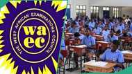 Withheld WASSCE results: WAEC breaks silence on viral list of 120 schools, “Kindly ignore”