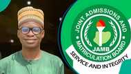 JAMB: Art student scores 84 in Government and 80 in Literature, flaunts perfect 2026 UTME result