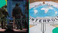 Interpol declares 14 Nigerians wanted for human trafficking, and other crimes across countries