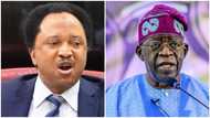 Shehu Sani reacts as Tinubu donates N50million to victims of deadly bandits attack in Zamfara state