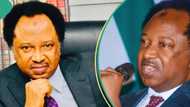 “Justice is becoming a ludo”: Shehu Sani reacts to sack of PDP lawmakers in Plateau