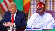 Visa restrictions: “Why Trump snubbed Tinubu, hosted 5 African leaders,” minister speaks, video trends