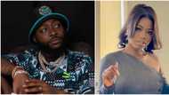 Davido’s baby mama Sophia sparks speculation as she rants about men & financial abuse: "Pls leave him alone"