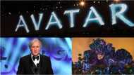 Excitement as Director James Cameron says the filming has been completed for Avatar 2