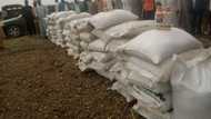 We'll cultivate over 200,000 hectares of wheat this year with CBN intervention, says NAWFPMAN