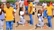 "The girl did not die o": Bold lady kneels with ring in public as she proposes to her boyfriend, photos emerge
