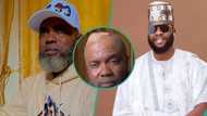 Lawori accuses Kokozaria of sending thugs to break his head, NURTW boss replies: "It wasn't me"