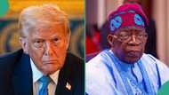 Tinubu sends message to Trump over US new visa restrictions on Nigerians