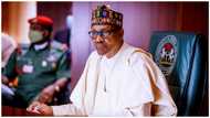 Nigerians in UK reject suspension of passports biometrics, accuse high commission of extortion