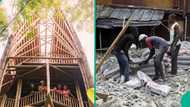 FG plans to build bamboo houses for Nigerians as traders quote new price for Dangote, BUA, cement