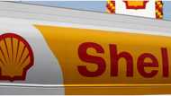 Royal Dutch Shell makes lowest payout to Nigerian government in over three years