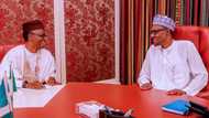 Just in: Buhari meets Governor El-Rufai in Aso Rock