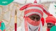 Aminu Ado Bayero ya fita da jama'arsa a Kano bayan hana hawa doki