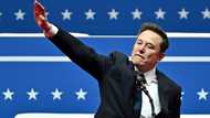 Musk's most memorable moments as Trump's advisor