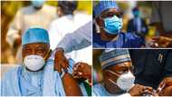 Just like Buhari, Garba Shehu, president's chief of staff, others take COVID-19 vaccine