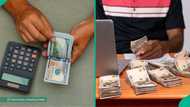 Dollar crashes below N1,400 at black market, traders announce new exchange rates