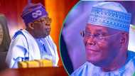 Atiku vs Tinubu: “It’s merely sensational,” APC chieftain predicts how tribunal will deliver final verdict