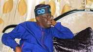 Coalition gives Tinubu one condition to back him for president in 2023
