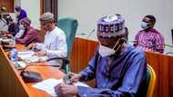 Breaking: Reps pass electoral bill but without compulsory direct primary clause