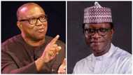 How 'Obidients' Can Help Peter Obi Get a Chance in Aso Rock, Tinubu's Former Campaign DG Reveals