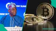 'Ku mallaki Bitcoin': An fadawa Tinubu hanyar bunkasa tattalin arzikin Najeriya