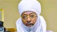Opinion: All hail the new Zazzau knights' commander, Munir Jaafaru