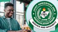 JAMB registration fee and closing date in 2024: all you need to know