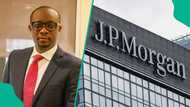 Adedapo Olagunju: All you need to know about JPMorgan’s proposed Nigeria bank chief