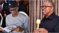 “Peter Obi will soon be declared president”: LP chairman reveals date tribunal will deliver judgement