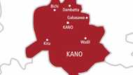 Ku zabge kudin makaranta ko a soke zango na 3 na karatu - Gwamnatin Kano ga masu makarantun kudi