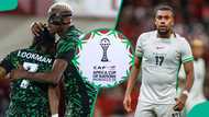 AFCON 2025: Osimhen, Lookman, Bassey make CAF Best XI, Alex Iwobi snubbed
