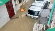 Trending videos: Heavy downpour causes massive flood in Lagos