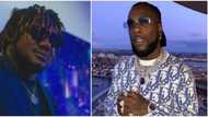 Rapper CDQ begs his boys not to retaliate after alleged attack by Burna Boy's men